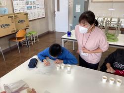 家庭科　だしの味比べ