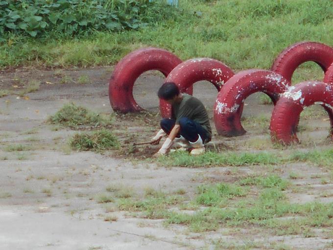 草取り