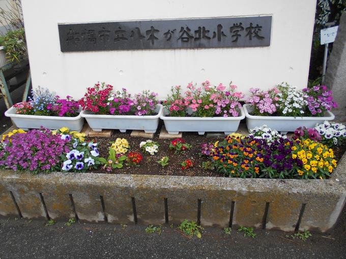 階段下の花々①