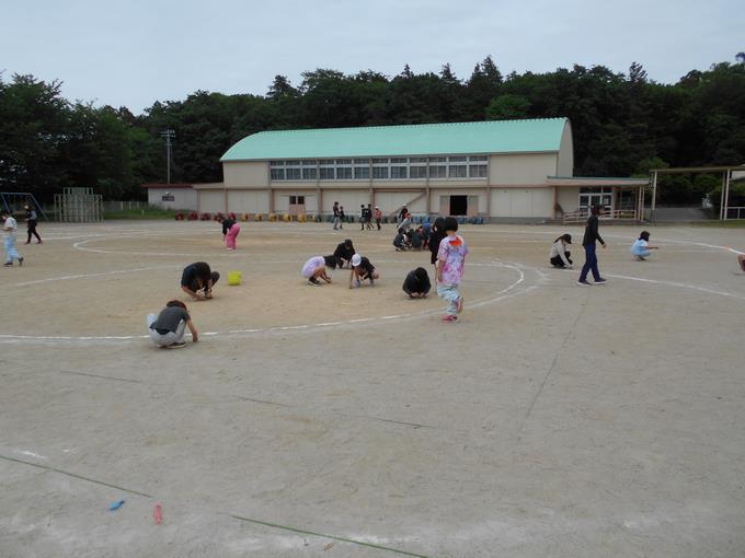 みんなで石拾い