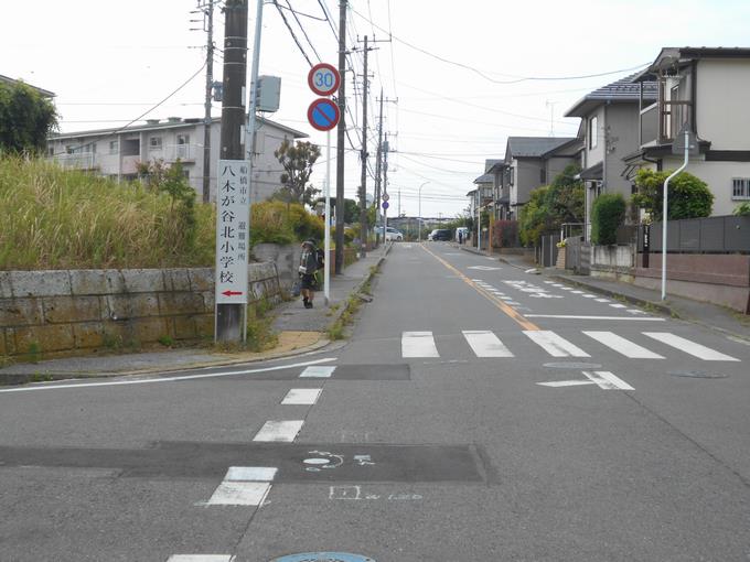 西側から見た様子