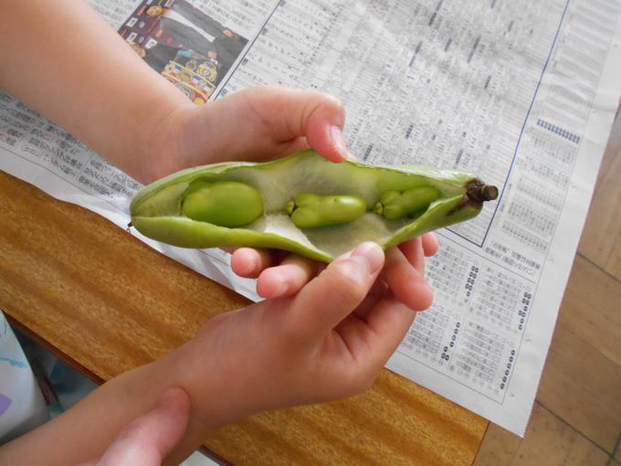 中にふわふわなベッドが
