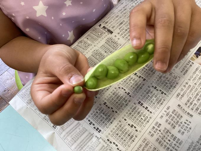 たくさんとれた