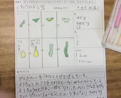 6053