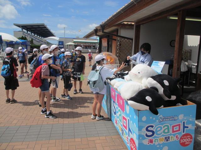 くじでぬいぐるみゲット!!