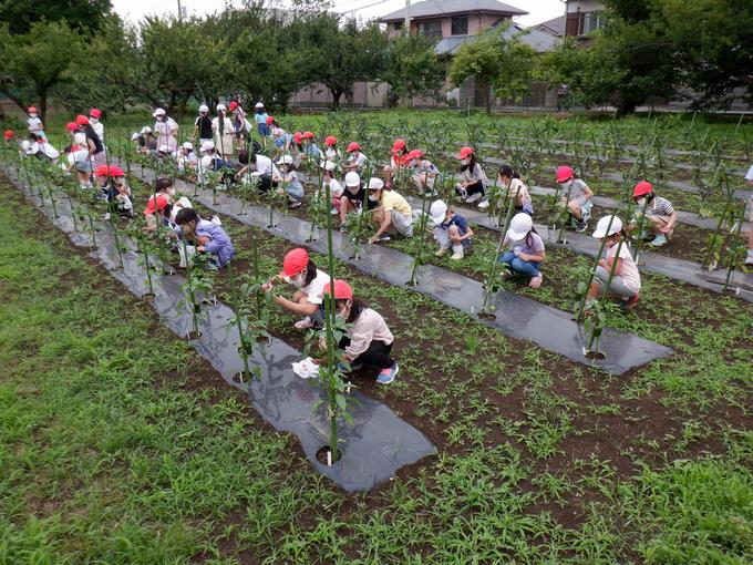 大きくなってるね