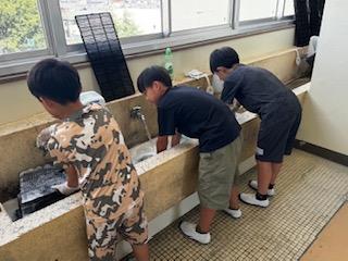 残ったホコリを水洗い