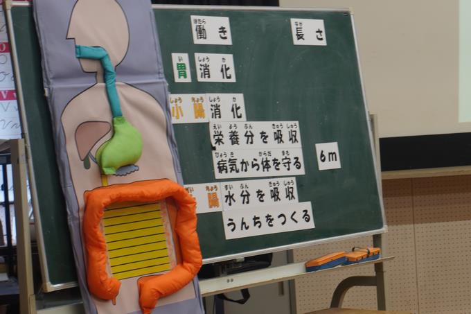 おなかの中って・・・