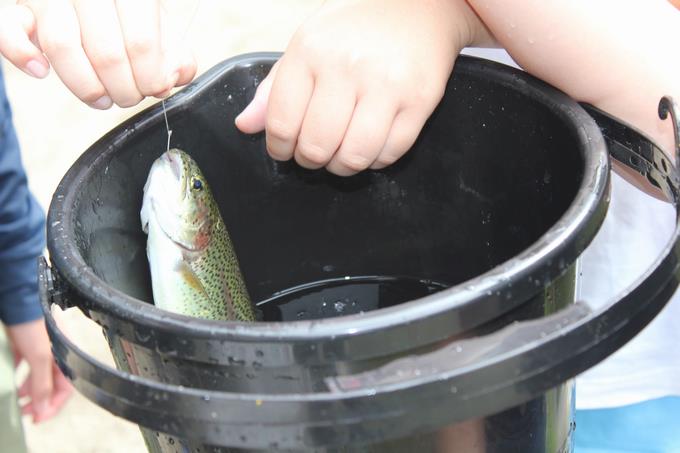 魚を釣っても、なかなか触れず・・・