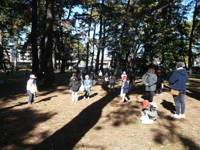 松林でみんな真剣そのもの