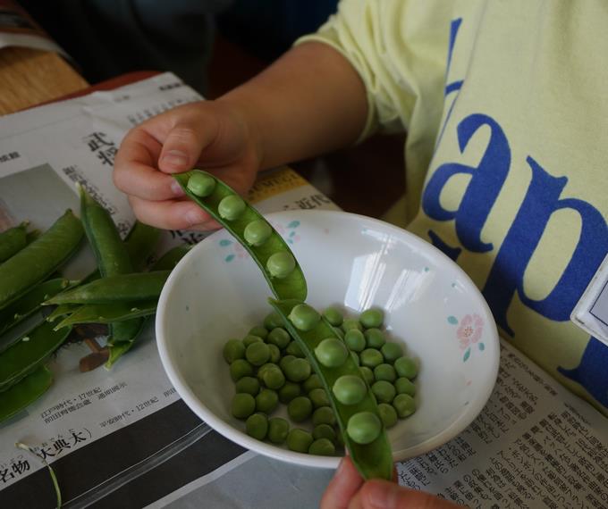 きれいに整列しているグリンピース