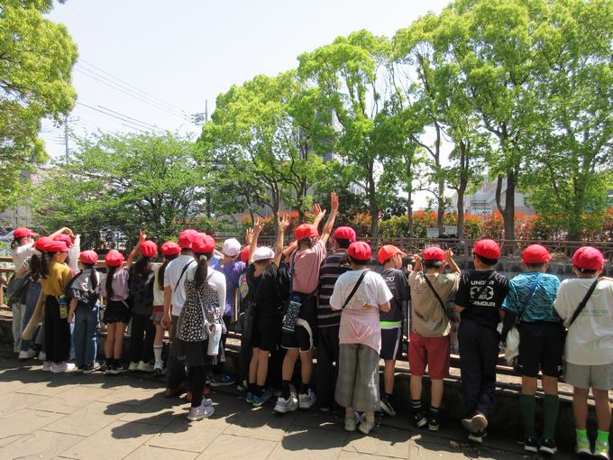 船橋市場周辺