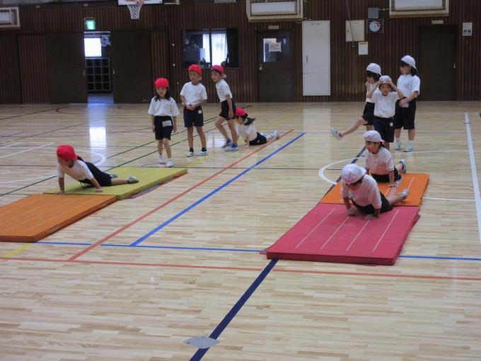 アザラシ