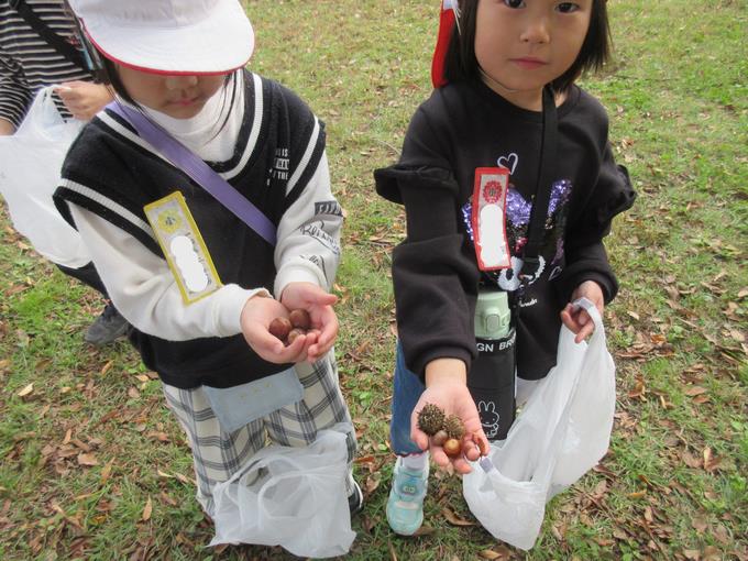 たくさん見つけたよ