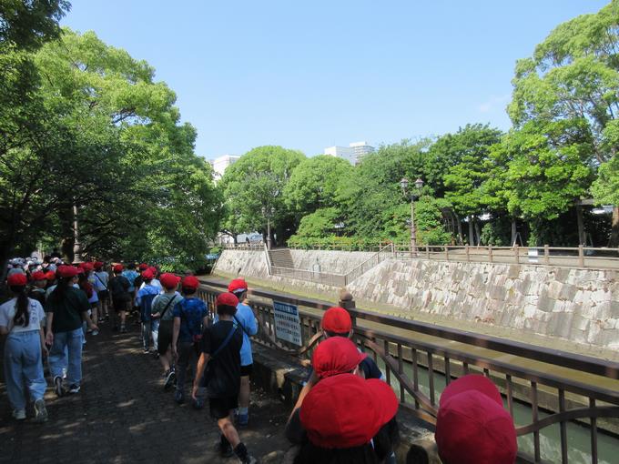 緑がまぶしい海老川