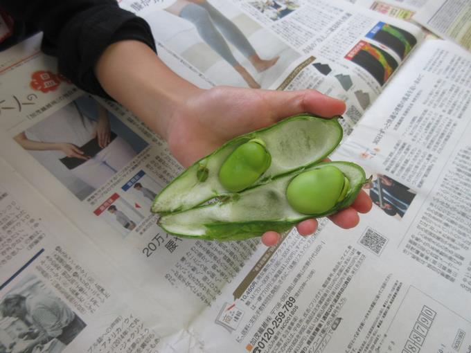 ふかふかのベッド