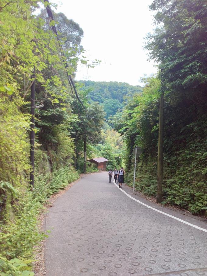 道中の様子