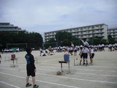 ローハイド