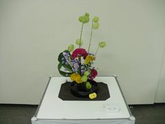 作品(12)