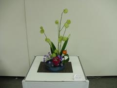 作品(13)