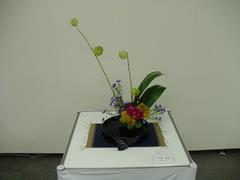 作品(13)