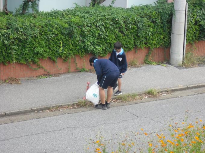 公園前の道路