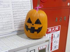 かぼちゃ