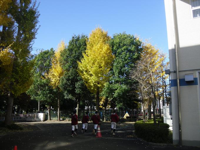 掃除日和