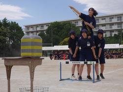 2年 ローハイド