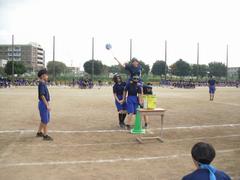 ローハイド