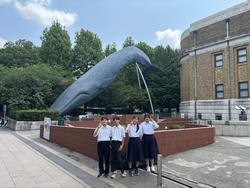 kujira