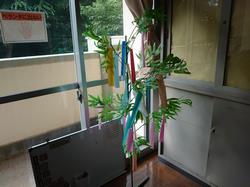sasa1