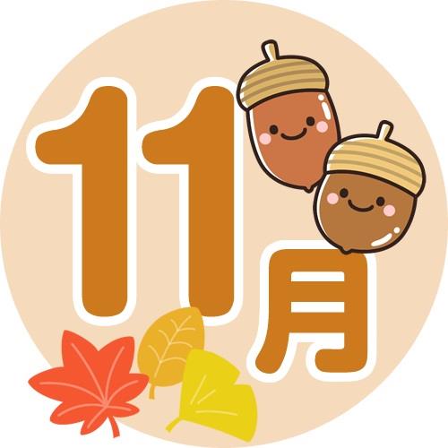 11月