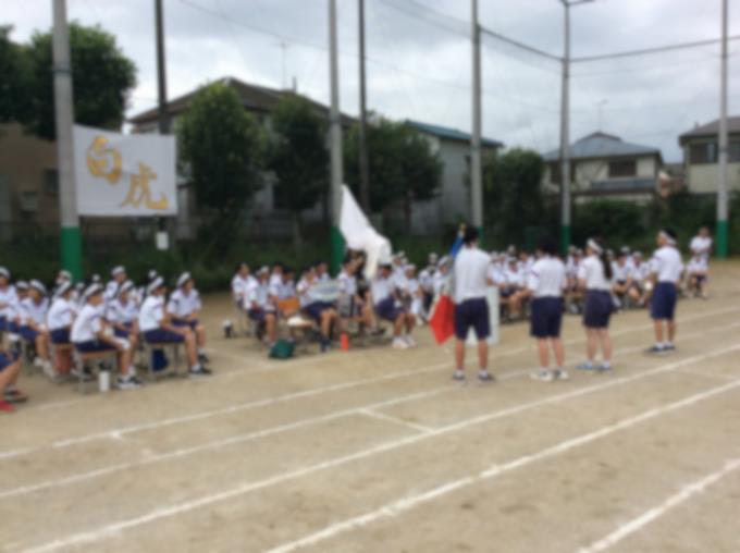 白組