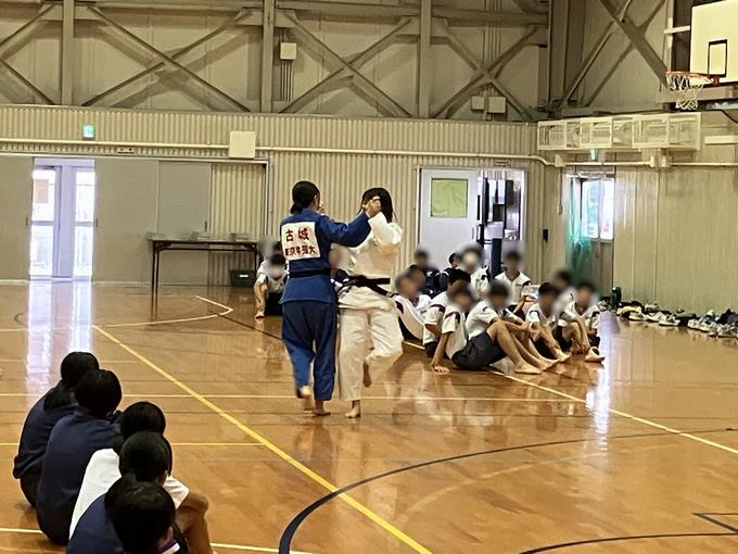 模範