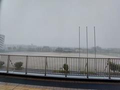 台風