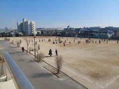 球技大会1