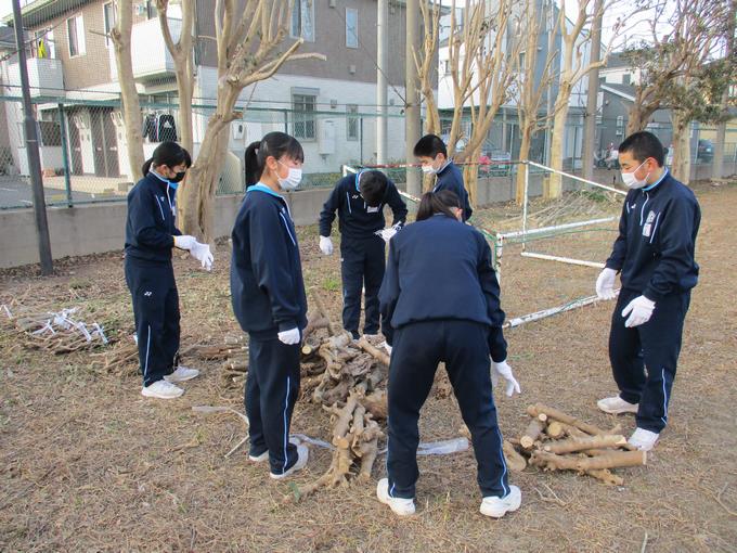 木を束ねています