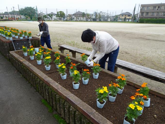 植え替え２