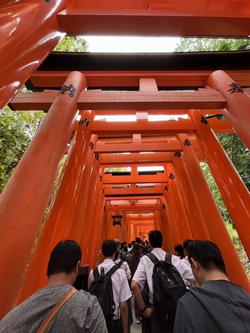 修学旅行（伏見稲荷大社）