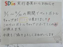 SDGs