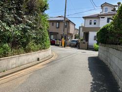 樹木伐採