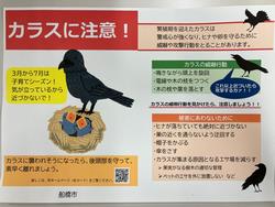 カラス