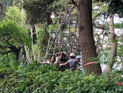 ボーリング調査