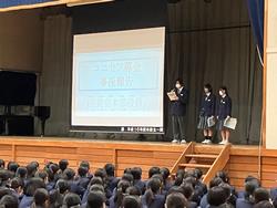 集会