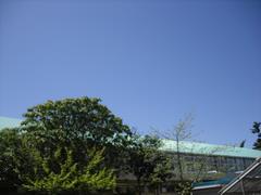 青空