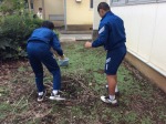 小石ではないサイズのものも…