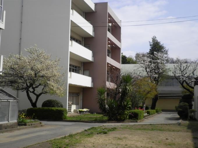 敷地の木々も春めきました