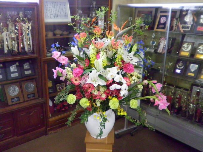 入学式の花が今もきれいです