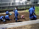 畑の手入れ
